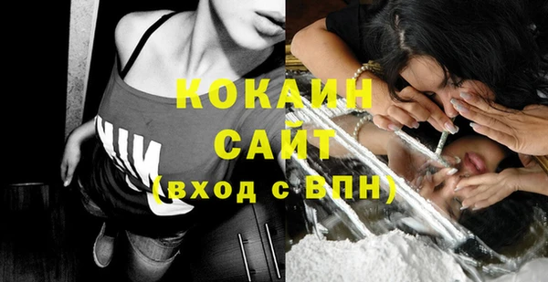 стаф Арсеньев