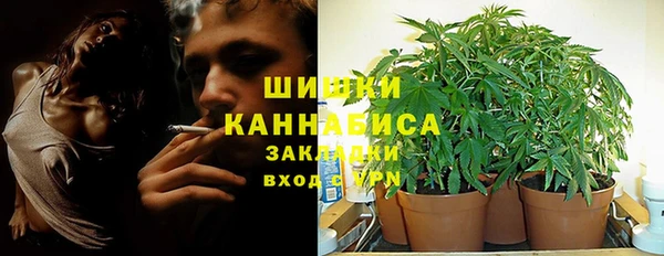 MESCALINE Аркадак
