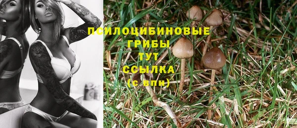 синтетический гашиш Надым